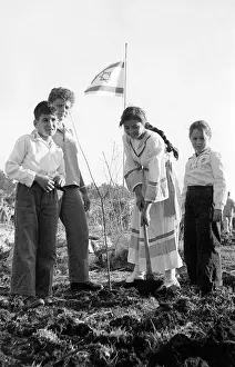 Juliette Soester: JEWISH/TU B'SHEVAT