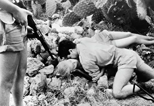 Haworth: Jill Haworth - Sal Mineo