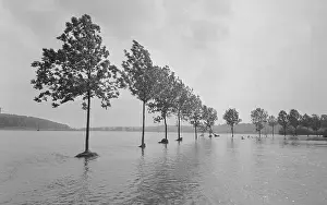 Boleslav: Jizera River - flood