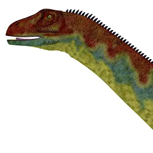 Multi Colored: Jobaria dinosaur portrait