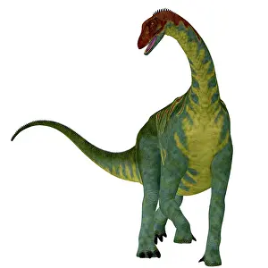 Tiguidensis: Jobaria dinosaur, front view