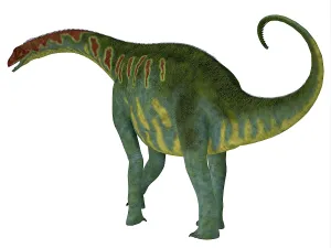 Tiguidensis: Jobaria dinosaur on white background
