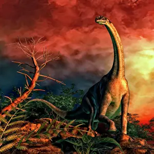 Multi Colored: Jobaria was a sauropod dinosaur that lived during the ?
