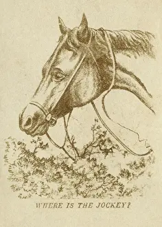 Ambiguous: Where is the Jockey? Optical Illusion