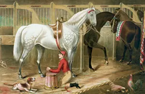 C1868: The jockey's prayer