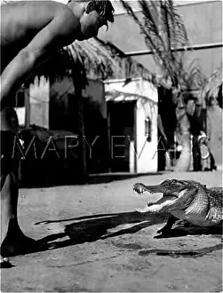 Fixes: JOE & THE ALLIGATOR