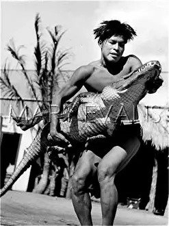 Alligators: JOE CARRIES ALLIGATOR