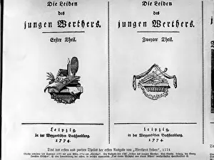 Goethe: Johann Wolfgang von Goethe