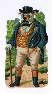 Archetypes: John Bull-Dog