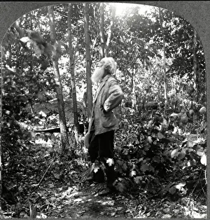 Burroughs: John Burroughs, naturalist, conservation