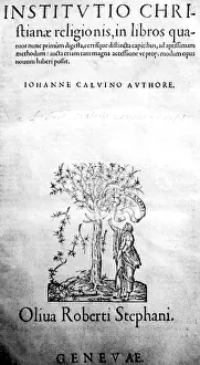 Chretienne: John Calvin