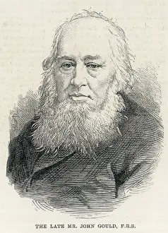 Ornithologist: JOHN GOULD