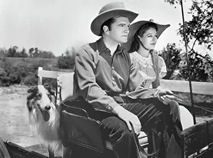 Nagel: John Loder - Anne Nagel - celebrity - entertainment