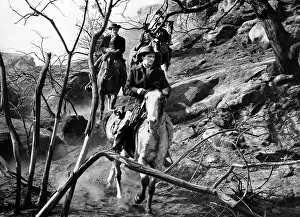 Lund: John Lund - Five Guns West