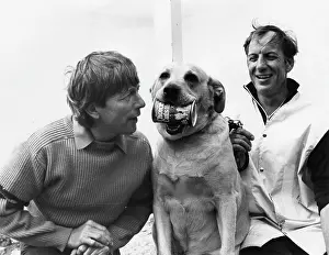 Daft: John Noakes at Land End, Cornwall