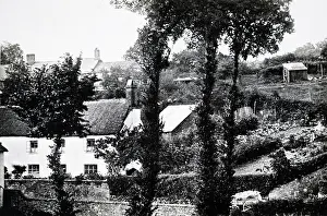 Conclusion: John Ross's garden at Hatherleigh in Devon where