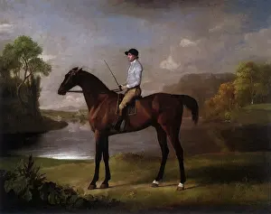1762: John Singleton, Scrub, by Stubbs