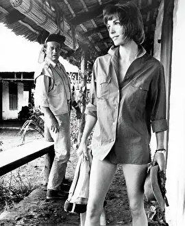 Hatari: John Wayne - Elsa Martinelli - Celebrity