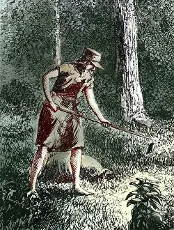 Planting: Johnny Appleseed, American Nurseryman