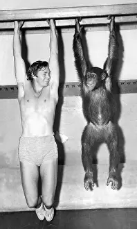 Chimpanzee: Johnny Weissmueller and Cheetah