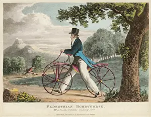 Hobbyhorse: Johnson's Hobby Horse
