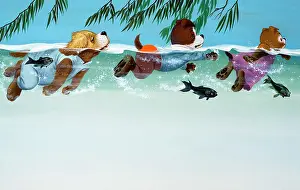 Doggy: The Jolly Dogs