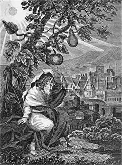 Thoughtfully: JONAH AND THE GOURD - 2