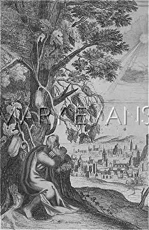 Thoughtfully: JONAH AND THE GOURD