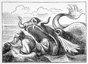 Jonah: JONAH RELEASED BY WHALE