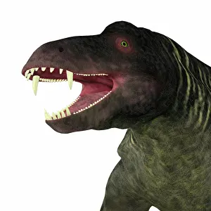 Synapsid: Jonkeria dinosaur head