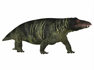 Synapsid: Jonkeria dinosaur, side profile