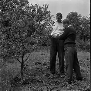 Vaclav: Josef Musil, highest man in the Czechoslovakia