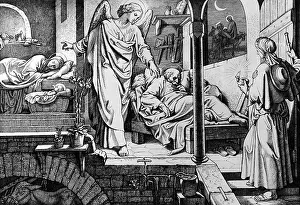 Heiliger: Joseph