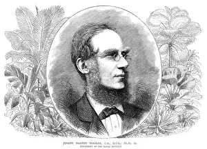 Dalton: JOSEPH DALTON HOOKER