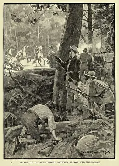 Bushrangers: Joseph Grey - Bushranger