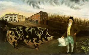 1774: Joseph Lawton's Midland Pig