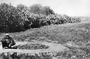 Jealous: Joseph's Well, Holy Land