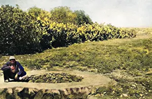 Jealous: Joseph's Well, Holy Land