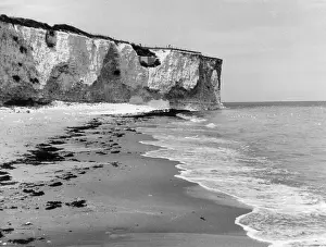 Foreshore: JOSS BAY CLIFFS
