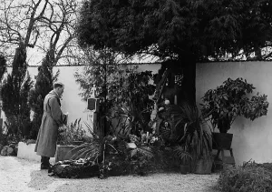 Linz: On his journey through Austria in 1938 after the invasion