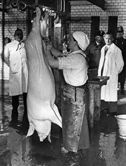 Apprentice: Journeyman's examination in Berlin, 1937