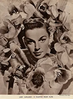 Mcbean: Judy Garland
