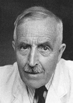 Seitz: Julius Diez