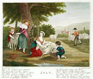 Shearing: July ' 18th century sheep shearing scene