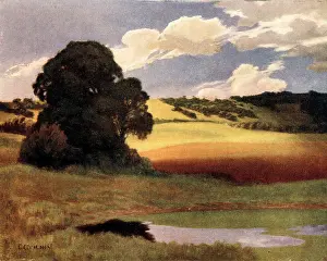 Tilney: July Noon