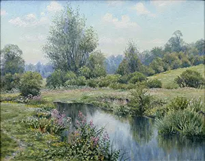 Mervyn: July River ' The River Wey at Eashing