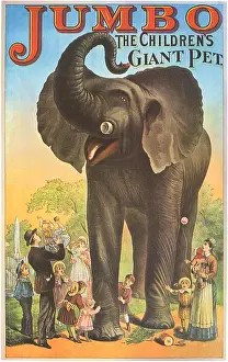 Tusks: Jumbo the Elephant