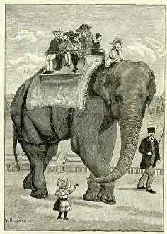 Jumbo the elephant giving a ride at the zoo