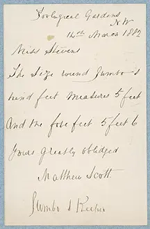 JUMBO / LETTER