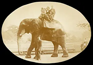 Jumbo: JUMBO / PHOTO